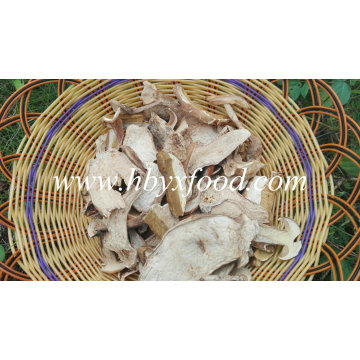 Top Quality Frozen Fresh Wild Porcini Mushrooms